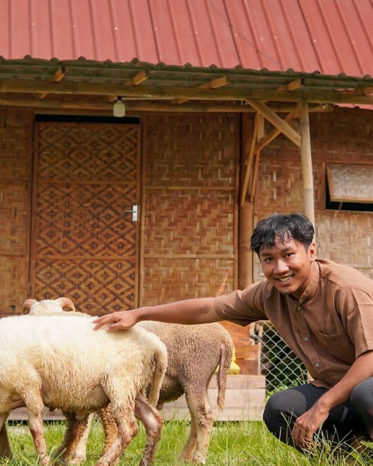 Farmer kneeling beside his sheep outside a rural barn