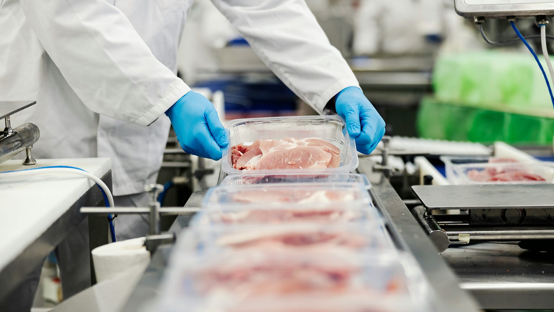 Plant workers packing fresh pork along a processing line
