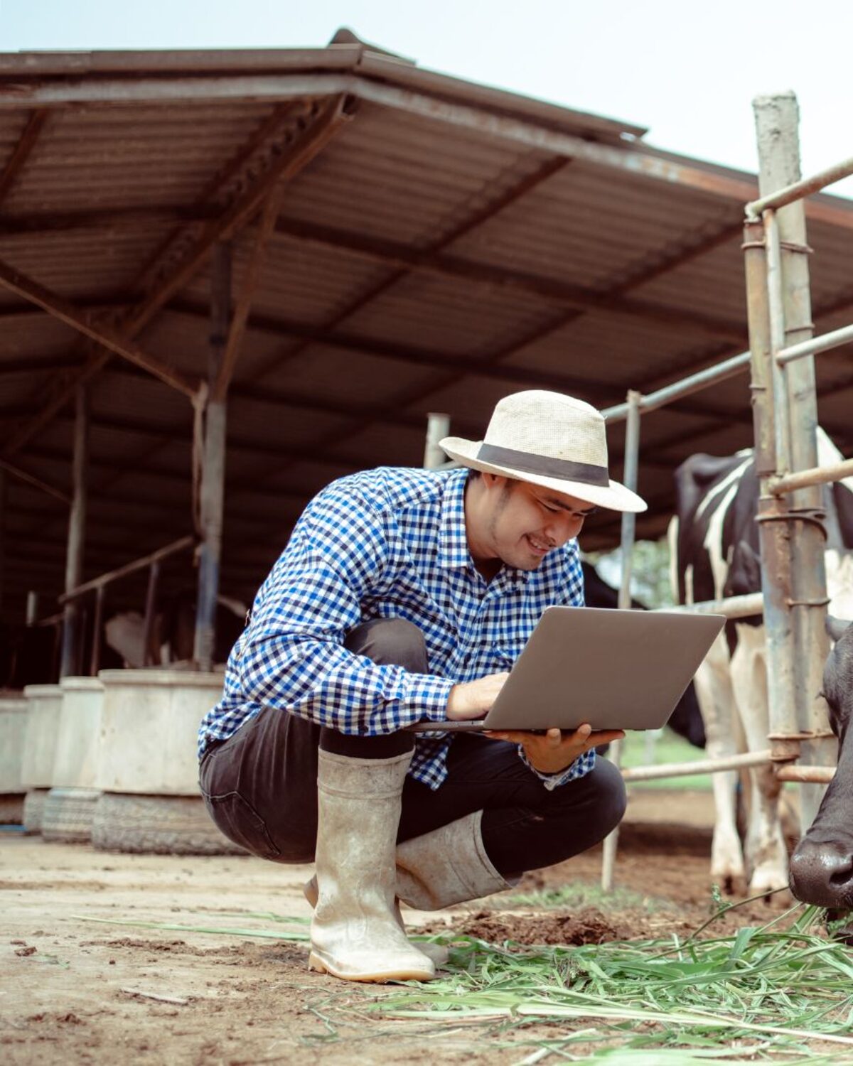 Auditor reviewing live facility footage on a laptop
